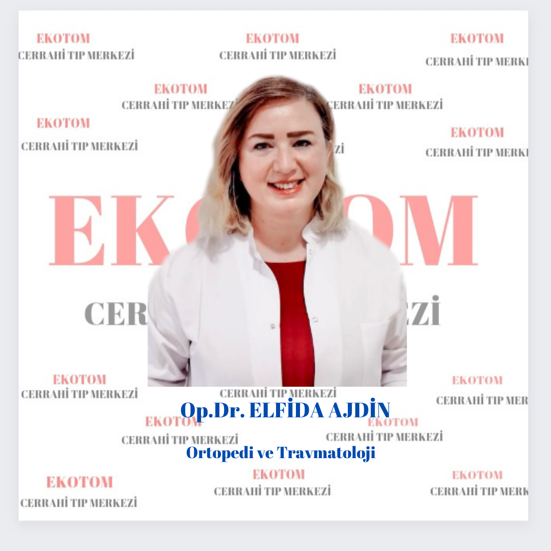 Elfida AJDİN